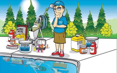 Why You Should Take Some Pool Shop and Pool Technicians’ Advice on Enviroswim with a Pinch of Salt